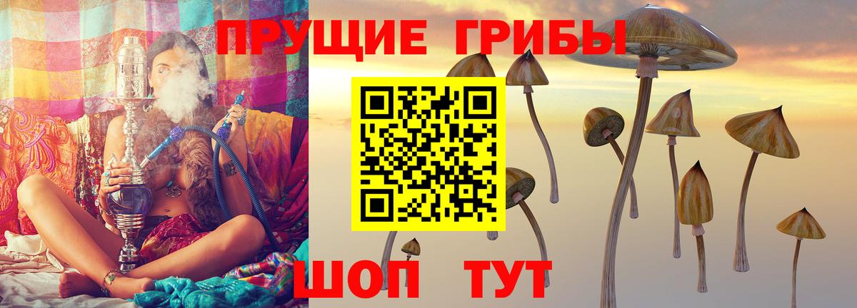 Галлюциногенные грибы GOLDEN TEACHER  Псилоцибиновые грибы Psilocybine cubensis  Рославль  Вход с VPN 